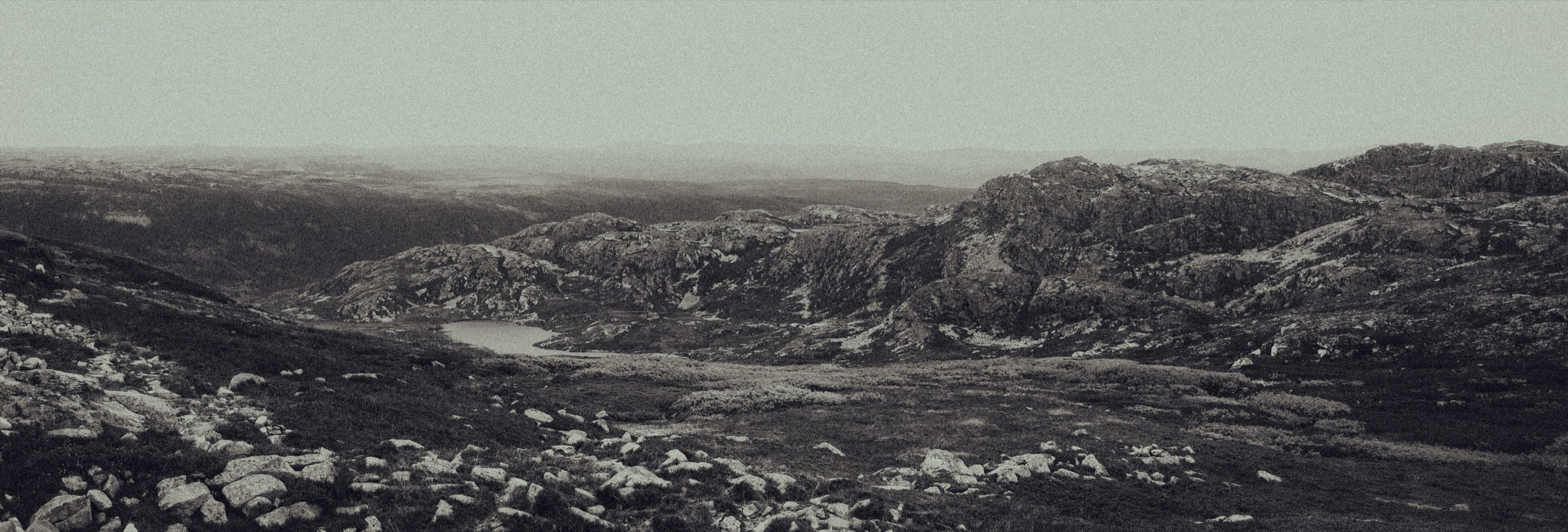 Windswept mountain landscape